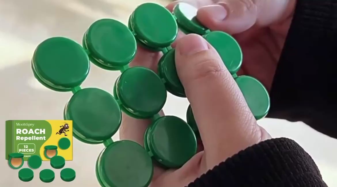 Charger la vidéo : 